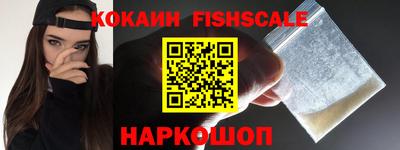 гашик Кингисепп