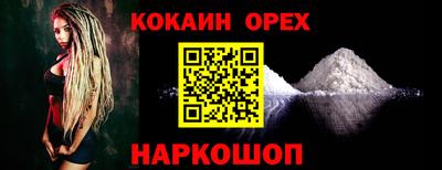 гашик Кингисепп