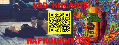 гашик Кингисепп