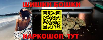 гашик Кингисепп