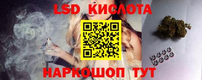 гашик Кингисепп