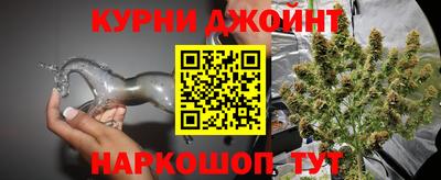 гашик Кингисепп