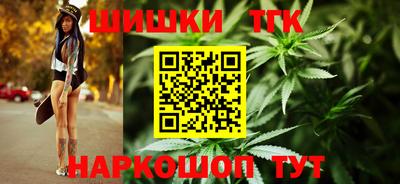 гашик Кингисепп