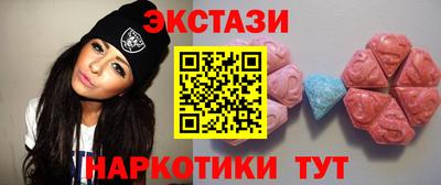 гашик Кингисепп