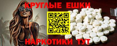 гашик Кингисепп