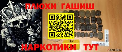гашик Кингисепп