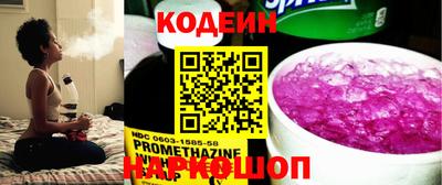 гашик Кингисепп