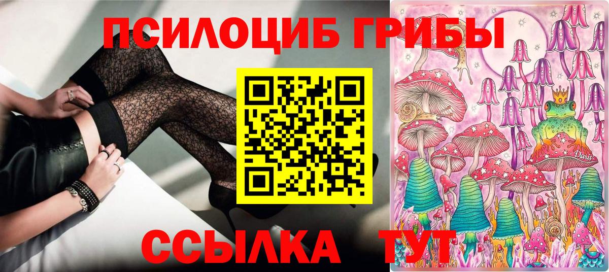 Галлюциногенные грибы прущие грибы Карпинск