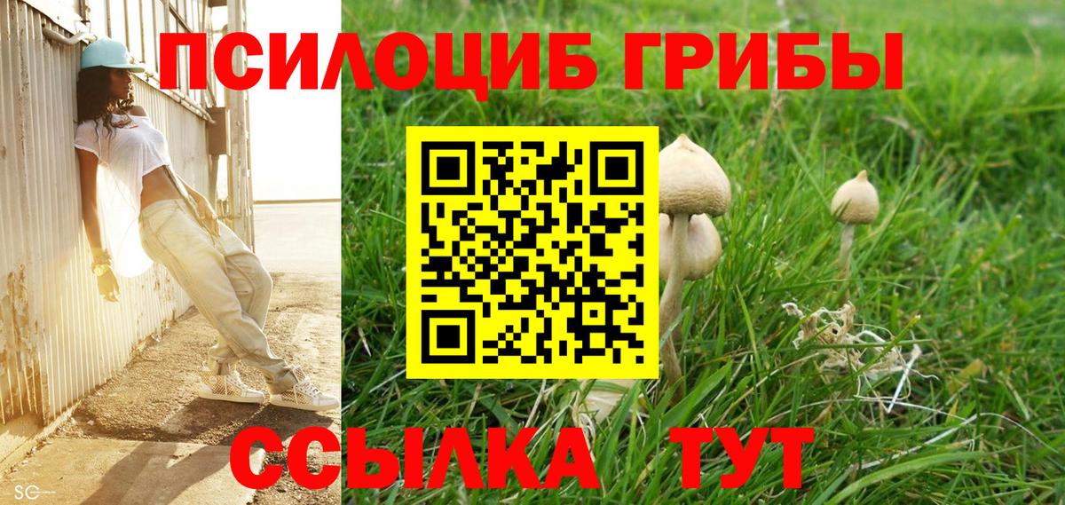 Карпинск  Псилоцибиновые грибы GOLDEN TEACHER  Вход с VPN  Галлюциногенные грибы мицелий 